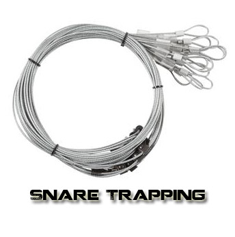 6 SNARES 60 OF 7X7 3/32 CABLE,CAMLOCK (SNARES,TRAPS,TRAPPING) LOADED NEW  SALE
